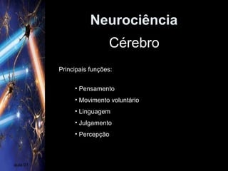 Neurociência
aula 01
Cérebro
Principais funções:
• Pensamento
• Movimento voluntário
• Linguagem
• Julgamento
• Percepção
 