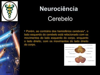 Neurociência
aula 01
Cerebelo
• Dividido em dois hemisférios
• Porém, ao contrário dos hemisférios cerebrais*, o
lado esquerdo do cerebelo está relacionado com os
movimentos do lado esquerdo do corpo, enquanto
o lado direito, com os movimentos do lado direito
do corpo.
 