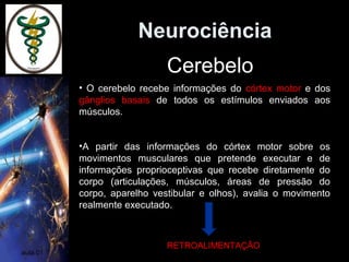 Neurociência
aula 01
• O cerebelo recebe informações do córtex motor e dos
gânglios basais de todos os estímulos enviados aos
músculos.
•A partir das informações do córtex motor sobre os
movimentos musculares que pretende executar e de
informações proprioceptivas que recebe diretamente do
corpo (articulações, músculos, áreas de pressão do
corpo, aparelho vestibular e olhos), avalia o movimento
realmente executado.
Cerebelo
RETROALIMENTAÇÃO
 