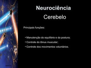 Neurociência
aula 01
Cerebelo
Principais funções:
• Manutenção do equilíbrio e da postura;
• Controle do tônus muscular;
• Controle dos movimentos voluntários.
 