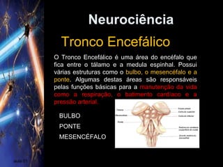 Neurociência
aula 01
Tronco Encefálico
O Tronco Encefálico é uma área do encéfalo que
fica entre o tálamo e a medula espinhal. Possui
várias estruturas como o bulbo, o mesencéfalo e a
ponte. Algumas destas áreas são responsáveis
pelas funções básicas para a manutenção da vida
como a respiração, o batimento cardíaco e a
pressão arterial.
BULBO
PONTE
MESENCÉFALO
 