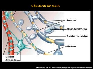 http://www.afh.bio.br/nervoso/nervoso2.asp#neurotransmissores
CÉLULAS DA GLIA
 