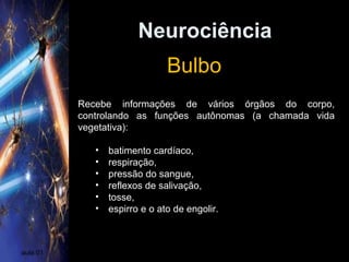 Neurociência
aula 01
Bulbo
Recebe informações de vários órgãos do corpo,
controlando as funções autônomas (a chamada vida
vegetativa):
• batimento cardíaco,
• respiração,
• pressão do sangue,
• reflexos de salivação,
• tosse,
• espirro e o ato de engolir.
 
