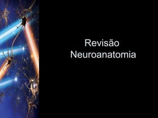 Revisão
Neuroanatomia
 