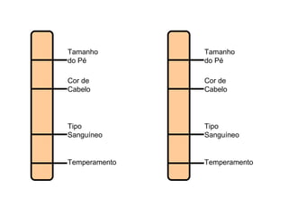 Tamanho do Pé Cor de Cabelo Tipo Sanguíneo Temperamento Tamanho do Pé Cor de Cabelo Tipo Sanguíneo Temperamento 