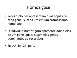 Homozigose Seres diplóides apresentam duas cópias de cada gene    cada um em um cromossomo homólogo. O indivíduo homozigoto apresenta dois alelos de um gene iguais, sejam eles genes dominantes ou recessivos. Ex: AA, bb, ZZ, pp.... 