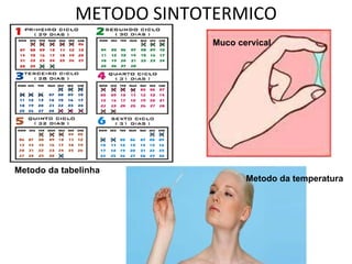 METODO SINTOTERMICO Muco cervical Metodo da temperatura Metodo da tabelinha 
