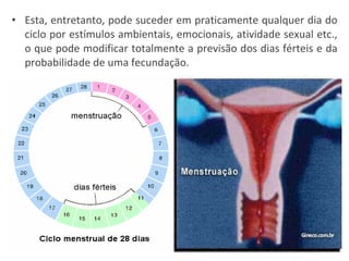 Esta, entretanto, pode suceder em praticamente qualquer dia do ciclo por estímulos ambientais, emocionais, atividade sexual etc., o que pode modificar totalmente a previsão dos dias férteis e da probabilidade de uma fecundação. 