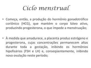 Ciclo menstrual Começa, então, a produção do hormônio gonadotrófico coriônico (HCG), que mantém o corpo lúteo ativo, produzindo progesterona, o que impede a menstruação; À medida que amadurece, a placenta produz estrógeno e progesterona, cujas concentrações permanecem altas durante toda a gestação, inibindo os hormônios hipofisários (FSH e LH) e, conseqüentemente, inibindo nova ovulação neste período; 