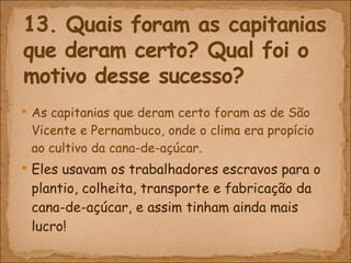 As capitanias que deram certo foram as de São Vicente e Pernambuco, onde o clima era propício ao cultivo da cana-de-açúcar.  Eles usavam os trabalhadores escravos para o plantio, colheita, transporte e fabricação da cana-de-açúcar, e assim tinham ainda mais lucro! 