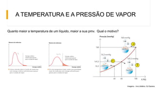 A TEMPERATURA E A PRESSÃO DE VAPOR
Quanto maior a temperatura de um líquido, maior a sua pmv. Qual o motivo?
Imagens – livro didático. Ed Saraiva
 