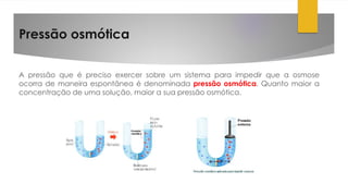 Pressão osmótica
A pressão que é preciso exercer sobre um sistema para impedir que a osmose
ocorra de maneira espontânea é denominada pressão osmótica. Quanto maior a
concentração de uma solução, maior a sua pressão osmótica.
 