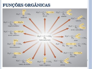 FUNÇÕES ORGÂNICAS 