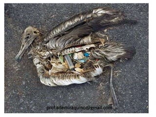 prof.ademiraquino@gmail.com
 