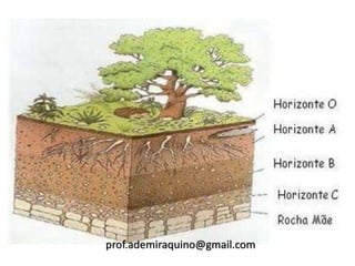 prof.ademiraquino@gmail.com
 