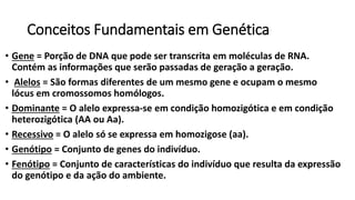 Conceitos Fundamentais em Genética
• Gene = Porção de DNA que pode ser transcrita em moléculas de RNA.
Contém as informações que serão passadas de geração a geração.
• Alelos = São formas diferentes de um mesmo gene e ocupam o mesmo
lócus em cromossomos homólogos.
• Dominante = O alelo expressa-se em condição homozigótica e em condição
heterozigótica (AA ou Aa).
• Recessivo = O alelo só se expressa em homozigose (aa).
• Genótipo = Conjunto de genes do indivíduo.
• Fenótipo = Conjunto de características do indivíduo que resulta da expressão
do genótipo e da ação do ambiente.
 