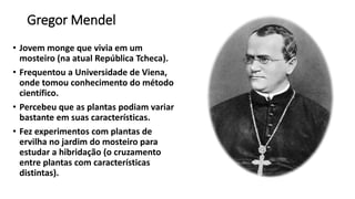 Gregor Mendel
• Jovem monge que vivia em um
mosteiro (na atual República Tcheca).
• Frequentou a Universidade de Viena,
onde tomou conhecimento do método
científico.
• Percebeu que as plantas podiam variar
bastante em suas características.
• Fez experimentos com plantas de
ervilha no jardim do mosteiro para
estudar a hibridação (o cruzamento
entre plantas com características
distintas).
 