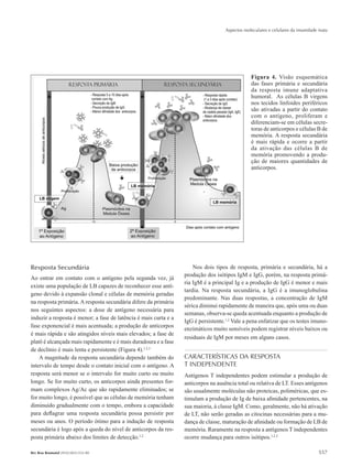Aspectos moleculares e celulares da imunidade inata
557Rev Bras Reumatol 2010;50(5):552-80
Resposta Secundária
Ao entrar em contato com o antígeno pela segunda vez, já
existe uma população de LB capazes de reconhecer esse antí-
geno devido à expansão clonal e células de memória geradas
na resposta primária. A resposta secundária difere da primária
nos seguintes aspectos: a dose de antígeno necessária para
induzir a resposta é menor; a fase de latência é mais curta e a
fase exponencial é mais acentuada; a produção de anticorpos
é mais rápida e são atingidos níveis mais elevados; a fase de
platô é alcançada mais rapidamente e é mais duradoura e a fase
de declínio é mais lenta e persistente (Figura 4).1,2,3
A magnitude da resposta secundária depende também do
intervalo de tempo desde o contato inicial com o antígeno. A
resposta será menor se o intervalo for muito curto ou muito
longo. Se for muito curto, os anticorpos ainda presentes for-
mam complexos Ag/Ac que são rapidamente eliminados; se
for muito longo, é possível que as células de memória tenham
diminuído gradualmente com o tempo, embora a capacidade
para deflagrar uma resposta secundária possa persistir por
meses ou anos. O período ótimo para a indução de resposta
secundária é logo após a queda do nível de anticorpos da res-
posta primária abaixo dos limites de detecção.1,2
Nos dois tipos de resposta, primária e secundária, há a
produção dos isótipos IgM e IgG, porém, na resposta primá-
ria IgM é a principal Ig e a produção de IgG é menor e mais
tardia. Na resposta secundária, a IgG é a imunoglobulina
predominante. Nas duas respostas, a concentração de IgM
sérica diminui rapidamente de maneira que, após uma ou duas
semanas, observa-se queda acentuada enquanto a produção de
IgG é persistente.1,2
Vale a pena enfatizar que os testes imuno-
enzimáticos muito sensíveis podem registrar níveis baixos ou
residuais de IgM por meses em alguns casos.
CARACTERÍSTICAS DA RESPOSTA
T INDEPENDENTE
Antígenos T independentes podem estimular a produção de
anticorpos na ausência total ou relativa de LT. Esses antígenos
são usualmente moléculas não proteicas, poliméricas, que es-
timulam a produção de Ig de baixa afinidade pertencentes, na
sua maioria, à classe IgM. Como, geralmente, não há ativação
de LT, não serão geradas as citocinas necessárias para a mu-
dança de classe, maturação de afinidade ou formação de LB de
memória. Raramente na resposta a antígenos T independentes
ocorre mudança para outros isótipos.1,2,3
Figura 4. Visão esquemática
das fases primária e secundária
da resposta imune adaptativa
humoral. As células B virgens
nos tecidos linfoides periféricos
são ativadas a partir do contato
com o antígeno, proliferam e
diferenciam-se em células secre-
toras de anticorpos e células B de
memória. A resposta secundária
é mais rápida e ocorre a partir
da ativação das células B de
memória promovendo a produ-
ção de maiores quantidades de
anticorpos.
RBR 50_5.indb 557 21/10/2010 15:46:47
 