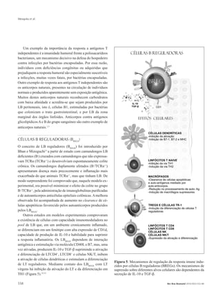 Mesquita et al.
558 Rev Bras Reumatol 2010;50(5):552-80
Um exemplo da importância da resposta a antígenos T
independentes é a imunidade humoral frente a polissacarídeos
bacterianos, um mecanismo decisivo na defesa do hospedeiro
contra infecções por bactérias encapsuladas. Por essa razão,
indivíduos com deficiências congênitas ou adquiridas que
prejudiquem a resposta humoral são especialmente suscetíveis
a infecções, muitas vezes fatais, por bactérias encapsuladas.
Outro exemplo de resposta aos antígenos T independentes são
os anticorpos naturais, presentes na circulação de indivíduos
normais e produzidos aparentemente sem exposição antigênica.
Muitos destes anticorpos naturais reconhecem carboidratos
com baixa afinidade e acredita-se que sejam produzidos por
LB peritoneais, isto é, células B1, estimuladas por bactérias
que colonizam o trato gastrointestinal, e por LB da zona
marginal dos órgãos linfoides. Anticorpos contra antígenos
glicolipídicosAe B do grupo sanguíneo são outro exemplo de
anticorpos naturais.1,3
CÉLULAS B REGULADORAS (BREGS
)
O conceito de LB reguladores (BREGS
) foi introduzido por
Bhan e Mizoguchi11
a partir de estudo com camundongos LB
deficientes (B-
) cruzados com camundongos que não expressa-
vam TCRα (TCRα-/-
) e desenvolviam espontaneamente colite
crônica. Os camundongos duplamente afetados (B-
/TCRα-/-
)
apresentaram doença mais precocemente e inflamação mais
exacerbada do que animais TCRα-/-
, mas que tinham LB. De
modo surpreendente foi comprovado que, naquele modelo ex-
perimental, era possível minimizar o efeito da colite no grupo
B-
/TCRα-/-
, pela administração de imunoglobulinas purificadas
e de autoanticorpos anticélulas epiteliais colônicas.Amelhora
observada foi acompanhada de aumento no clearance de cé-
lulas apoptóticas favorecido pelos autoanticorpos produzidos
pelos LBREGS
.
Outros estudos em modelos experimentais comprovaram
a existência de células com capacidade imunomoduladora no
pool de LB que, em um ambiente cronicamente inflamado,
se diferenciam em um fenótipo com alta expressão de CD1d,
capacidade de produção de IL-10 e habilidade para suprimir
a resposta inflamatória. Os LBREGS
dependem de interação
antigênica e estimulação via molécula CD40L e B7, mas, uma
vez ativadas, produzem IL-10 e TGF-β suprimindo a ativação
e diferenciação de LTCD4+
, LTCD8+
e células NK/T, inibem
a ativação de células dendríticas e estimulam a diferenciação
de LT reguladores. Mediante contato dos LBREGS
com LT
virgens há inibição da ativação do LT e da diferenciação em
TH1 (Figura 5).12,13
Figura 5. Mecanismos de regulação da resposta imune indu-
zidos por células B reguladoras (BREGs). Os mecanismos de
supressão sobre diferentes alvos celulares são dependentes da
secreção de IL-10 e TGF-β.
RBR 50_5.indb 558 21/10/2010 15:46:47
 