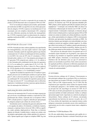 Mesquita et al.
560 Rev Bras Reumatol 2010;50(5):552-80
de maturação dos LT envolve a expressão de um receptor de
células T (TCR) funcional e dos co-receptores CD4 e/ou CD8.1
Os LT só reconhecem antígenos processados, apresentados
por moléculas de MHC na superfície de uma célula apresenta-
dora de antígeno. O TCR é expresso na membrana dos LT em
associação com um complexo denominado CD3, composto
por cinco diferentes proteínas da família das imunoglobuli-
nas. O TCR é responsável pelo reconhecimento do complexo
peptídeo-molécula de MHC, e o CD3, pela sinalização celular
subsequente.1
RECEPTOR DE CÉLULAS T (TCR)
O TCR é formado por duas cadeias peptídicas da superfamília
das imunoglobulinas, com uma região variável e uma região
constante, formadas a partir de segmentos gênicos que durante
a maturação dos LT sofrem recombinação de forma semelhan-
te à do BCR. Em cerca de 95% dos LT circulantes o TCR é
formado pelas cadeias α e β. Uma pequena porcentagem de
LT apresenta TCR composto por cadeias γ e δ. As cadeias α
e δ são formadas pela combinação de três tipos de segmentos
(V, J e C) e as cadeias β e γ, quatro tipos (V, D, J e C). Há ~70
diferentes segmentos Vα, 60 Jα e 1 único Cα. Para a cadeia β,
há ~50 Vβ seguidos de dois conjuntos compostos de 1 Dβ, 6-7
Jβ e 1 Cβ. Nas cadeias γ e δ a variabilidade é menor.17
Agrande diversidade de repertório dos LT maduros é gera-
da pelo processo de recombinação somática na qual um dado
gene V, entre os diversos possíveis, liga-se a um dado gene J
ou combinação DJ. A diversidade de repertório potencial dos
LT é algo em torno de 1016
.Arecombinação entre os diferentes
segmentos é mediada por enzimas expressas apenas durante a
fase de maturação dos linfócitos.1,17
MATURAÇÃO DOS LINFÓCITOS T
O processo de maturação dos LT ocorre em etapas sequenciais
que envolvem a recombinação somática e expressão do TCR,
proliferação das células, expressão dos co-receptores CD4 e
CD8 e seleção positiva e negativa induzida por apresentação
de antígenos próprios por células do estroma tímico.17
InicialmenteocorreorearranjodosgenesdacadeiaβdoTCR
e, em seguida, da cadeia α. Os timócitos, ou linfócitos imaturos,
começam a expressar baixos níveis de CD4 e CD8 na superfí-
cie, sendo, portanto, duplo-positivos. Nesta fase, os timócitos
migram em direção à medula tímica e entram em contato com
Ag próprios apresentados pelas células epiteliais do estroma tí-
mico. Apenas aqueles que se ligam ao complexo MHC/Ag com
afinidade adequada recebem estímulo para sobreviver (seleção
positiva). Os timócitos cujo TCR não apresenta afinidade pelo
MHC próprio sofrem apoptose pela falta de estímulo (morte por
negligência).17
A i­­nteração com moléculas MHC de classe I ou
II determina a diferenciação do timócito em LT CD8+
ou CD4+
,
respectivamente. Continuando a maturação, os timócitos αβ que
sobreviveramàseleçãopositivaeexpressamapenasCD4ouCD8
entram em contato na medula com células dendríticas e macrófa-
gos, células apresentadoras de antígenos (APCs) extremamente
eficientes, que apresentam Ag próprios associados ao MHC. Os
timócitosimaturosqueinteragemcommuitaafinidadecomesses
complexos morrem por apoptose (seleção negativa). As células
que sobrevivem tornam-se LT maduros, prontos para deixarem o
timo e exercerem suas funções na periferia.Apenas cerca de 5%
dascélulasqueentramnotimotornam-seLTmaduros17
(Figura1).
Este processo de educação tímica visa garantir que os LT
circulantes sejam tolerantes aos Ag próprios, mas capazes de
reconhecer Ag estranhos ao organismo quando apresentados
pelo MHC próprio. Entretanto, os mecanismos centrais de
tolerância não são absolutos uma vez que LT autorreativos
podem ser encontrados na periferia. Entre outros mecanismos
de regulação periférica, destacam-se diferentes populações de
LT reguladores que atuam na periferia impedindo o desenvol-
vimento de autoimunidade.17
LT EFETORES
Existem diversos subtipos de LT efetores. Classicamente os
dois principais subtipos são os auxiliares (Th) e os citotóxicos,
que apresentam um receptor TCR αβ e as moléculas correcep-
toras, CD4 ou CD8, respectivamente. Os LT CD4 (Th) são
responsáveis por orquestrar outras células da resposta imune
na erradicação patógenos e são também muito importantes
na ativação dos LB, macrófagos ou mesmo LT CD8. Os LT
CD8 estão envolvidos principalmente nas respostas antivirais
e possuem também atividade antitumoral. Ambos os subtipos
apresentam papel muito importante no controle de patógenos
intracelulares. Outros subtipos de LT efetores, encontrados
especialmente nas barreiras de mucosa e na pele, são os LT
γδ. Essas células são importantes nas respostas imunes contra
antígenos comumente encontrados nesses sítios anatômicos e
representam um elo entre a resposta imune inata e adaptativa
(Figura 6).18
Linfócitos T CD4 Auxiliares (Th)
Os LTh são subdivididos funcionalmente pelo padrão de ci-
tocinas que produzem. Durante o estímulo fornecido por uma
RBR 50_5.indb 560 21/10/2010 15:46:47
 