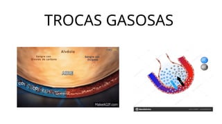 TROCAS GASOSAS
 