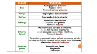 Prof. Teresa Condeixa 0809
 