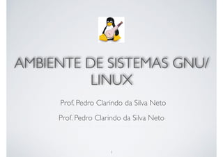 AMBIENTE DE SISTEMAS GNU/
LINUX
Prof. Pedro Clarindo da Silva Neto
Prof. Pedro Clarindo da Silva Neto
1
 