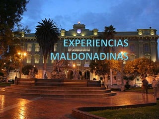 EXPERIENCIAS MALDONADINAS 