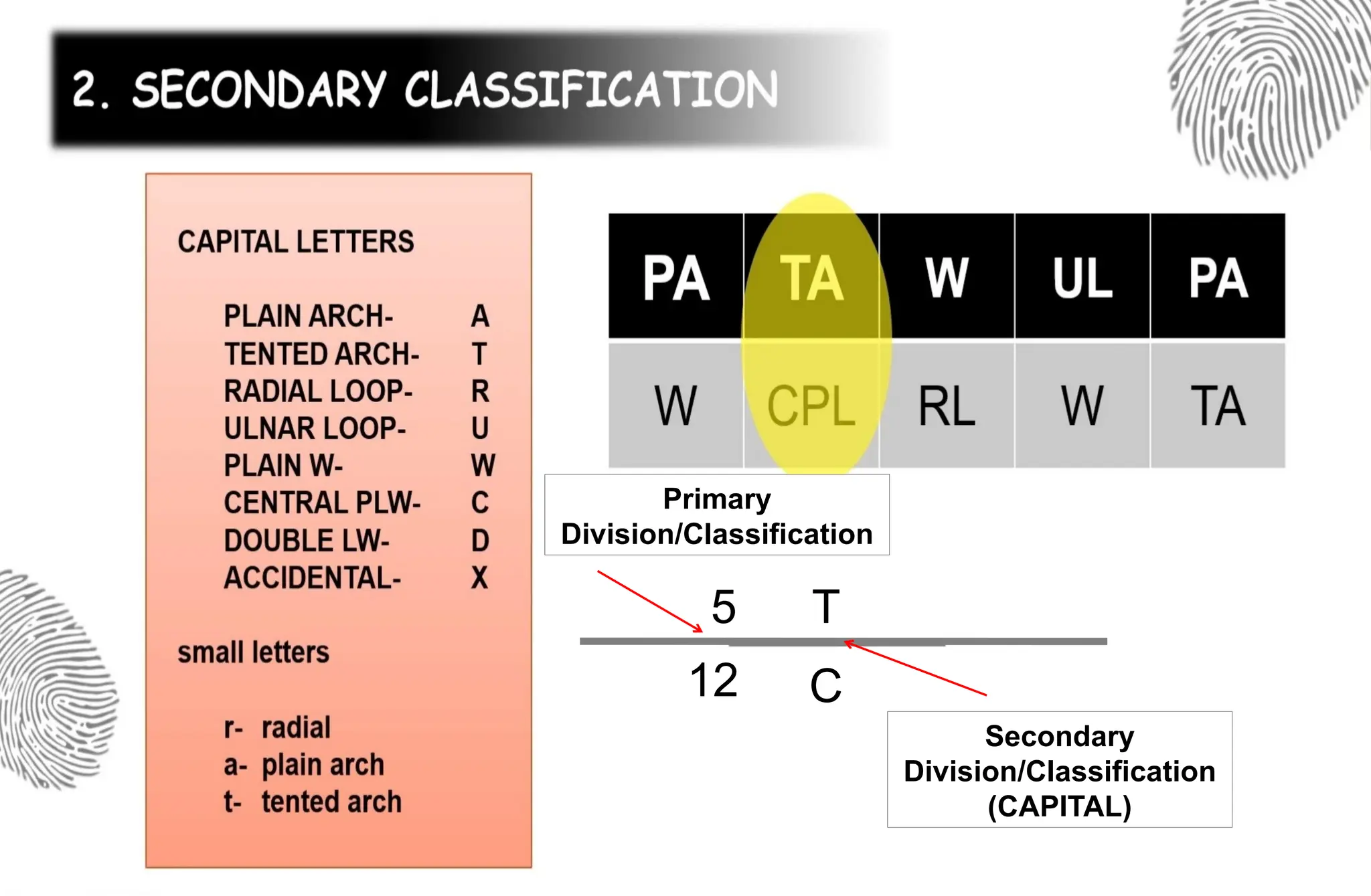 5
12
Primary
Division/Classification
T
C
Secondary
Division/Classification
(CAPITAL)
 