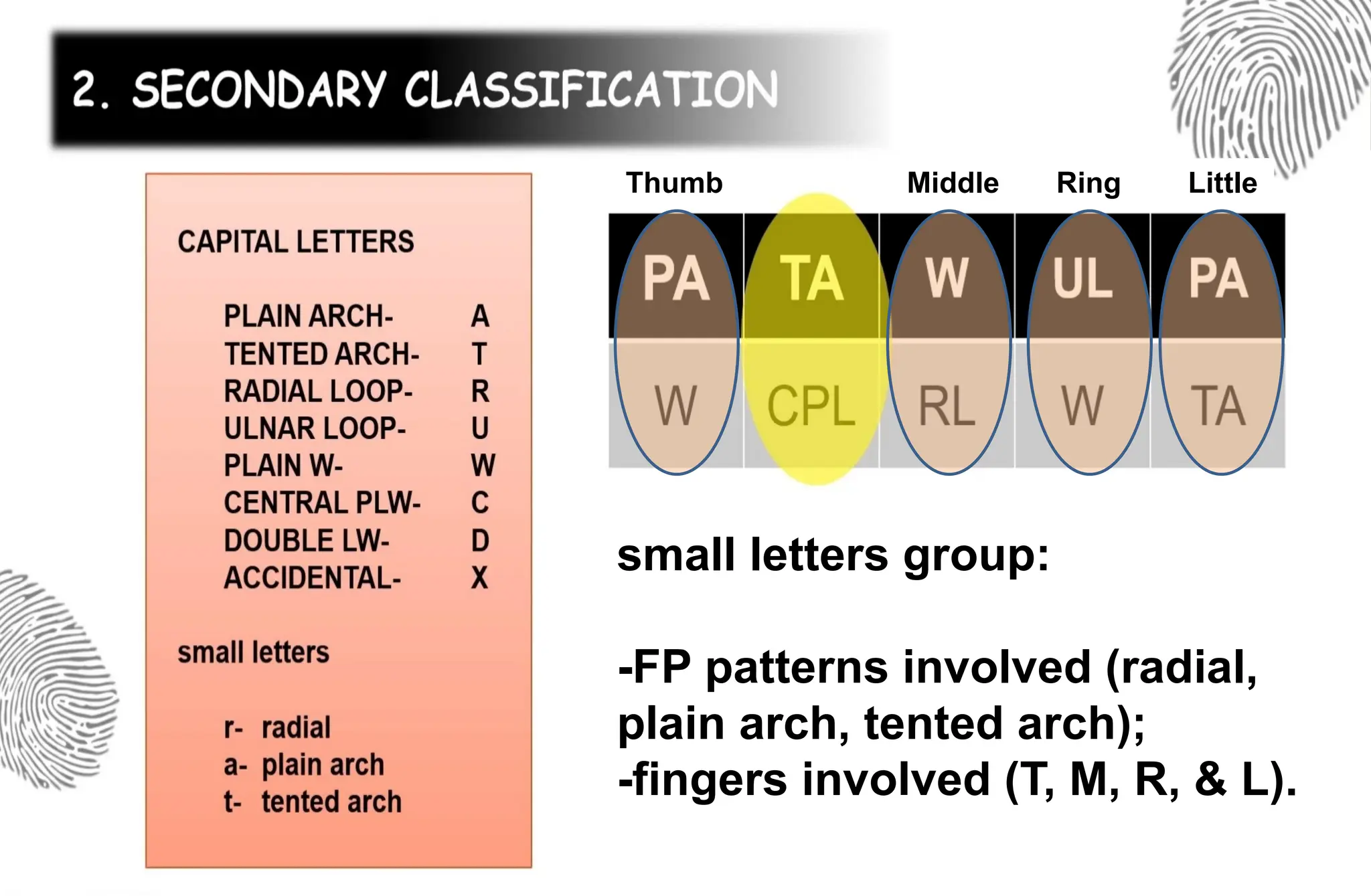 small letters group:
-FP patterns involved (radial,
plain arch, tented arch);
-fingers involved (T, M, R, & L).
Thumb Middle Ring Little
 