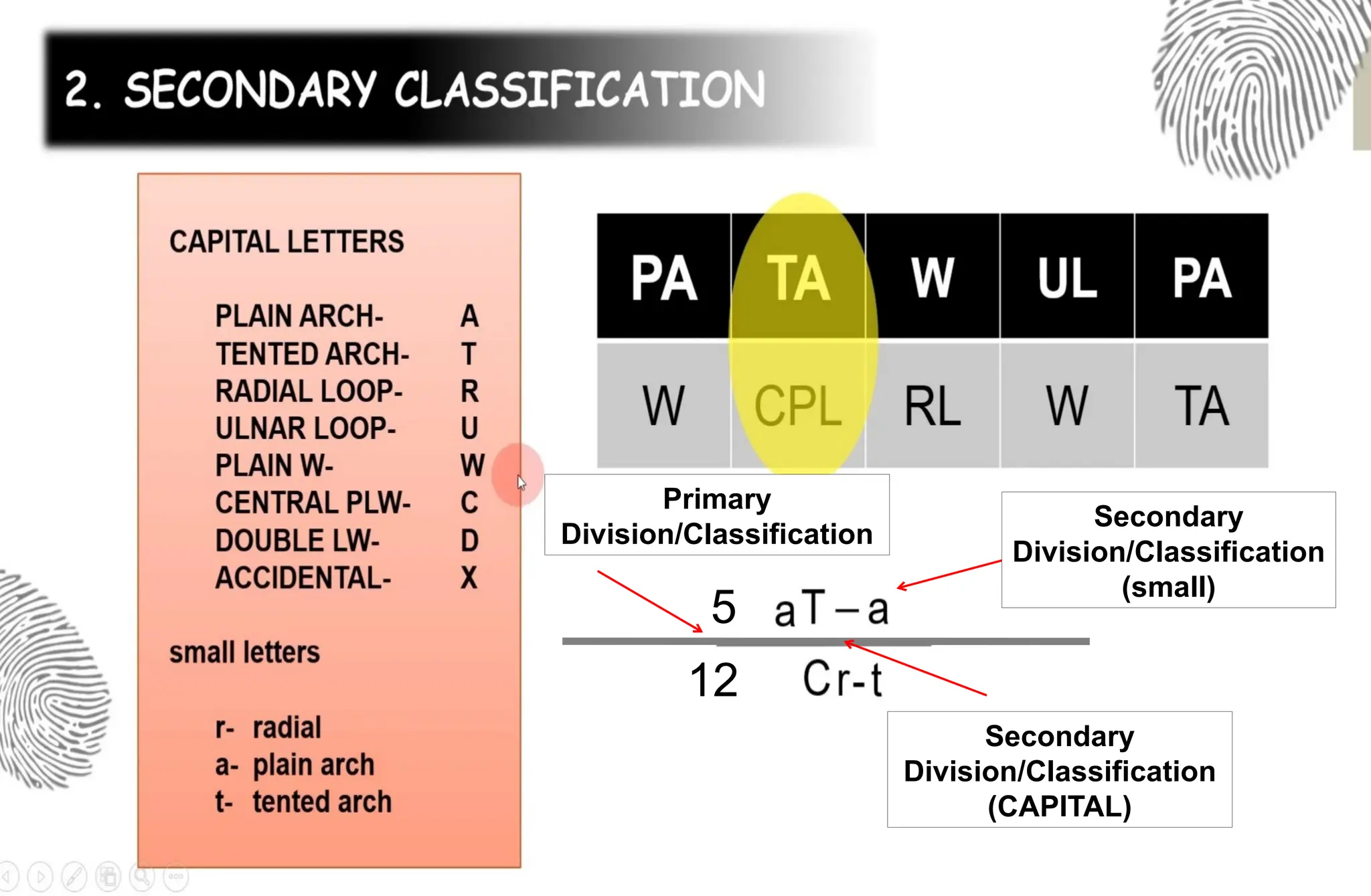 5
12
Primary
Division/Classification
Secondary
Division/Classification
(CAPITAL)
Secondary
Division/Classification
(small)
 