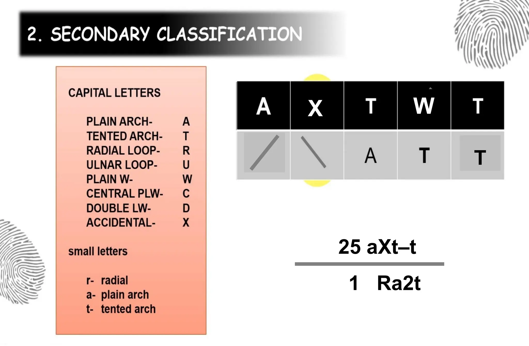 X W
T
25 aXt–t
1 Ra2t
 