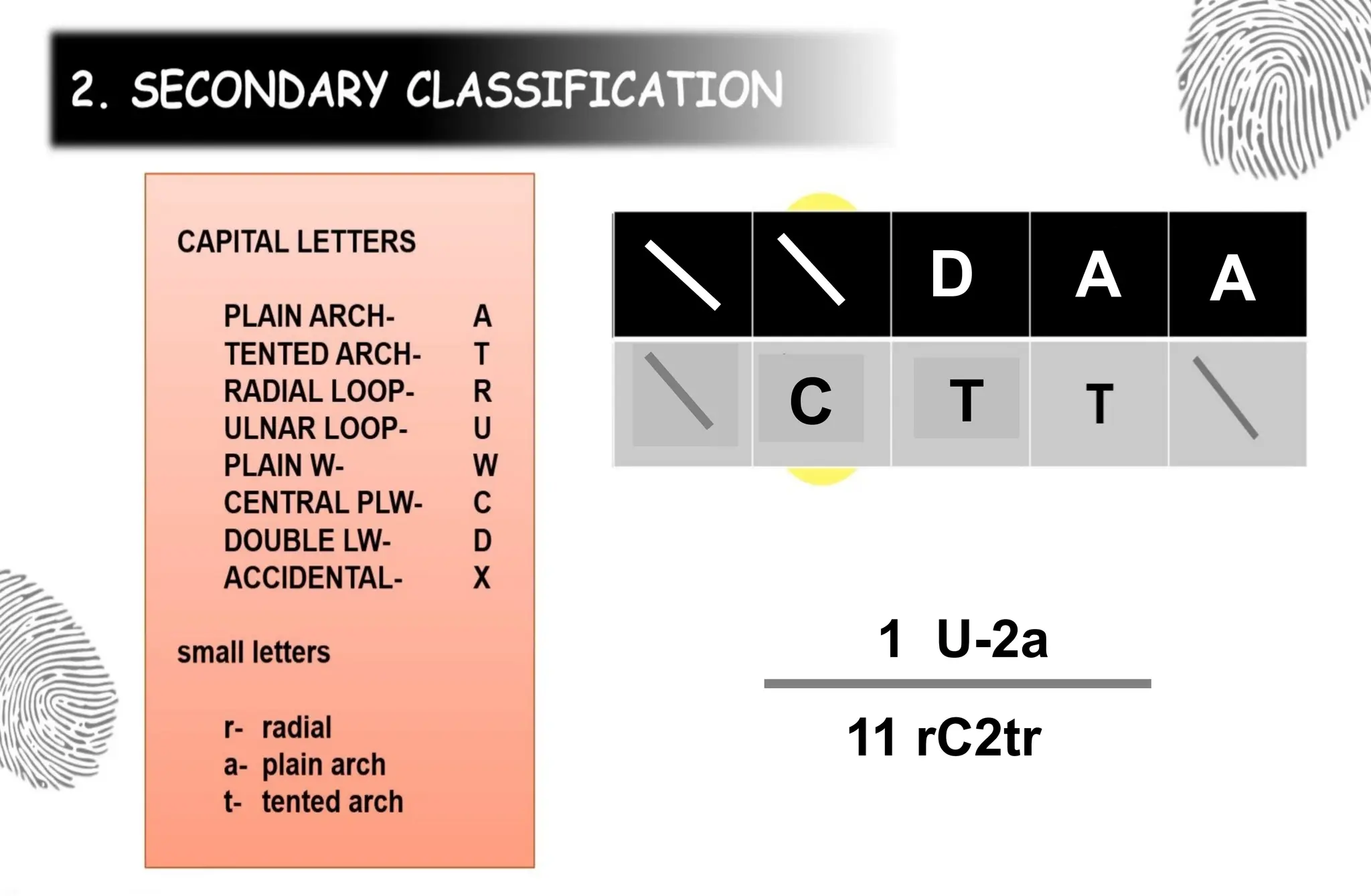 A
T
D A
C
1 U-2a
11 rC2tr
 