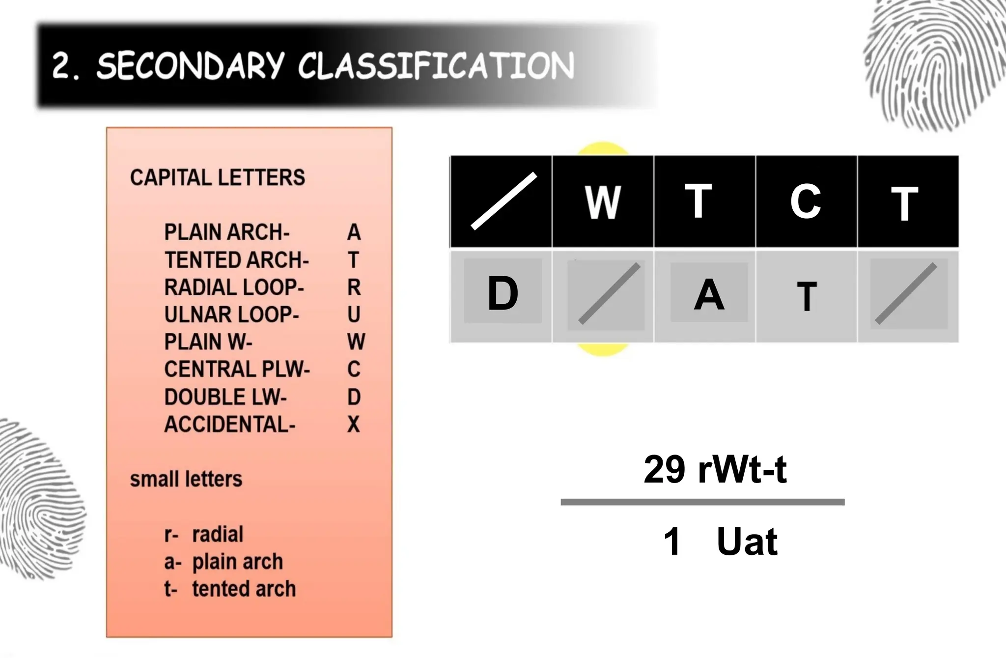 T
D A
T C
29 rWt-t
1 Uat
 