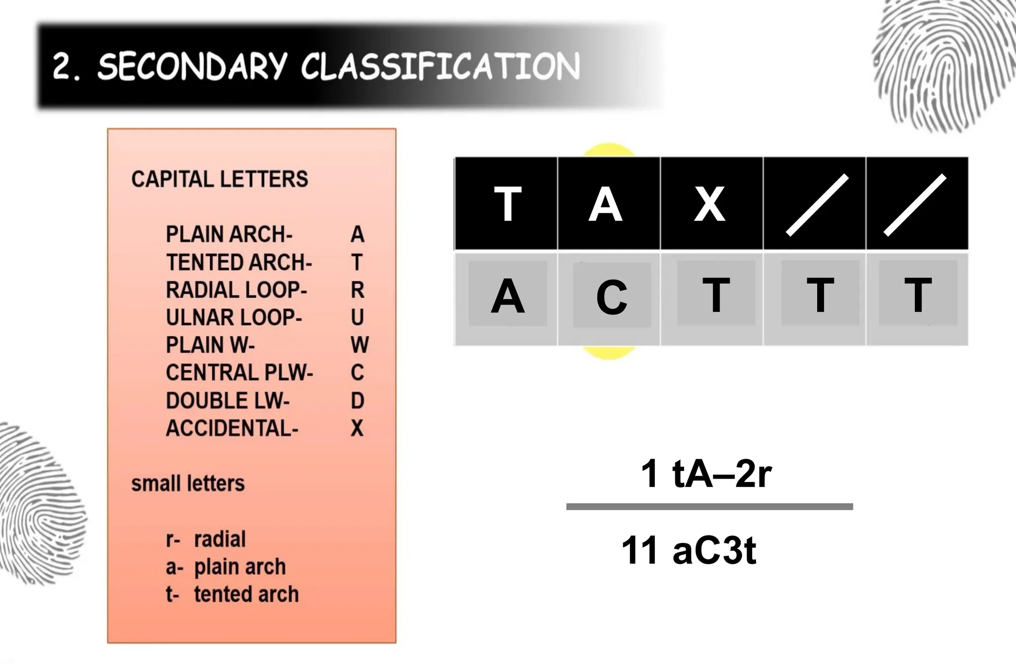 A T
X
C
1 tA–2r
11 aC3t
T A
T T
 