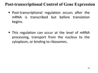 Post-transcriptional Control of Gene Expression
 Post-transcriptional regulation occurs after the
mRNA is transcribed but before translation
begins.
 This regulation can occur at the level of mRNA
processing, transport from the nucleus to the
cytoplasm, or binding to ribosomes.
29
 
