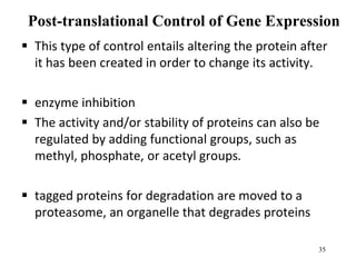 Post-translational Control of Gene Expression
 This type of control entails altering the protein after
it has been created in order to change its activity.
 enzyme inhibition
 The activity and/or stability of proteins can also be
regulated by adding functional groups, such as
methyl, phosphate, or acetyl groups.
 tagged proteins for degradation are moved to a
proteasome, an organelle that degrades proteins
35
 