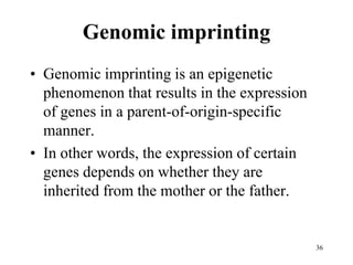 Genomic imprinting
• Genomic imprinting is an epigenetic
phenomenon that results in the expression
of genes in a parent-of-origin-specific
manner.
• In other words, the expression of certain
genes depends on whether they are
inherited from the mother or the father.
36
 