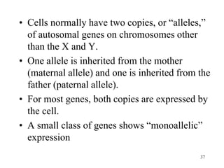 • Cells normally have two copies, or “alleles,”
of autosomal genes on chromosomes other
than the X and Y.
• One allele is inherited from the mother
(maternal allele) and one is inherited from the
father (paternal allele).
• For most genes, both copies are expressed by
the cell.
• A small class of genes shows “monoallelic”
expression
37
 