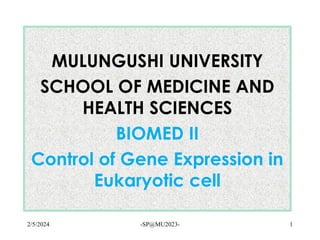 MULUNGUSHI UNIVERSITY
SCHOOL OF MEDICINE AND
HEALTH SCIENCES
BIOMED II
Control of Gene Expression in
Eukaryotic cell
2/5/2024 -SP@MU2023- 1
 