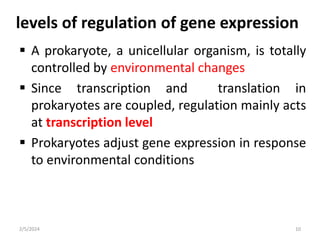 levels of regulation of gene expression
 A prokaryote, a unicellular organism, is totally
controlled by environmental changes
 Since transcription and translation in
prokaryotes are coupled, regulation mainly acts
at transcription level
 Prokaryotes adjust gene expression in response
to environmental conditions
2/5/2024 10
 
