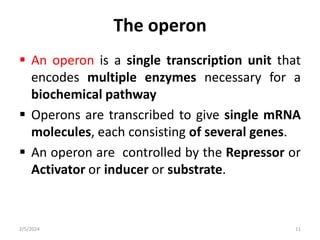 The operon
 An operon is a single transcription unit that
encodes multiple enzymes necessary for a
biochemical pathway
 Operons are transcribed to give single mRNA
molecules, each consisting of several genes.
 An operon are controlled by the Repressor or
Activator or inducer or substrate.
2/5/2024 11
 