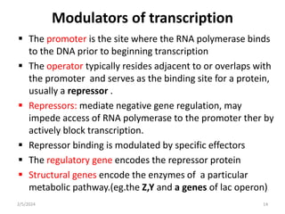 Modulators of transcription
 The promoter is the site where the RNA polymerase binds
to the DNA prior to beginning transcription
 The operator typically resides adjacent to or overlaps with
the promoter and serves as the binding site for a protein,
usually a repressor .
 Repressors: mediate negative gene regulation, may
impede access of RNA polymerase to the promoter ther by
actively block transcription.
 Repressor binding is modulated by specific effectors
 The regulatory gene encodes the repressor protein
 Structural genes encode the enzymes of a particular
metabolic pathway.(eg.the Z,Y and a genes of lac operon)
2/5/2024 14
 