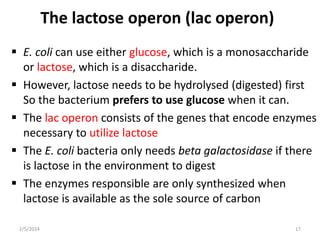 The lactose operon (lac operon)
 E. coli can use either glucose, which is a monosaccharide
or lactose, which is a disaccharide.
 However, lactose needs to be hydrolysed (digested) first
So the bacterium prefers to use glucose when it can.
 The lac operon consists of the genes that encode enzymes
necessary to utilize lactose
 The E. coli bacteria only needs beta galactosidase if there
is lactose in the environment to digest
 The enzymes responsible are only synthesized when
lactose is available as the sole source of carbon
2/5/2024 17
 