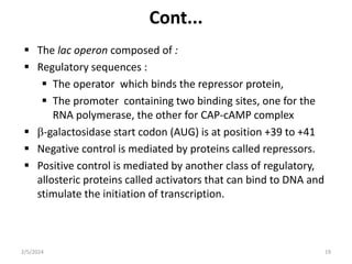 Cont...
 The lac operon composed of :
 Regulatory sequences :
 The operator which binds the repressor protein,
 The promoter containing two binding sites, one for the
RNA polymerase, the other for CAP-cAMP complex
 -galactosidase start codon (AUG) is at position +39 to +41
 Negative control is mediated by proteins called repressors.
 Positive control is mediated by another class of regulatory,
allosteric proteins called activators that can bind to DNA and
stimulate the initiation of transcription.
2/5/2024 19
 
