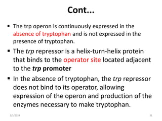 Cont...
 The trp operon is continuously expressed in the
absence of tryptophan and is not expressed in the
presence of tryptophan.
 The trp repressor is a helix-turn-helix protein
that binds to the operator site located adjacent
to the trp promoter
 In the absence of tryptophan, the trp repressor
does not bind to its operator, allowing
expression of the operon and production of the
enzymes necessary to make tryptophan.
2/5/2024 31
 