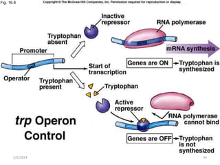 Fig. 16.6
2/5/2024 34
 