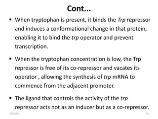 Cont...
 When tryptophan is present, it binds the Trp repressor
and induces a conformational change in that protein,
enabling it to bind the trp operator and prevent
transcription.
 When the tryptophan concentration is low, the Trp
repressor is free of its co-repressor and vacates its
operator , allowing the synthesis of trp mRNA to
commence from the adjacent promoter.
 The ligand that controls the activity of the trp
repressor acts not as an inducer but as a co-repressor.
2/5/2024 35
 