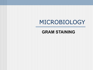 MICROBIOLOGY GRAM STAINING 