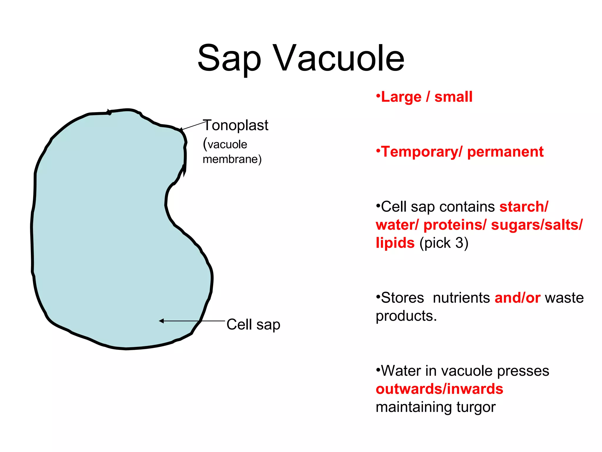 Cell Sap Revised Plant Cell Parts | PPT